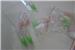 spray with nozzle price for 1 pc