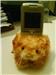 kitty handphone holder..been with me for a very long time but havn't used it at all. hopefully fits handphones of all sizes..handphone in picture not included.

preferably meetups at north, west or town area.. preferably woodlands..

contactable at asyakirah@hotmail.com
